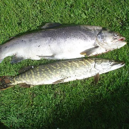 Waldpension Goschlseben 3*