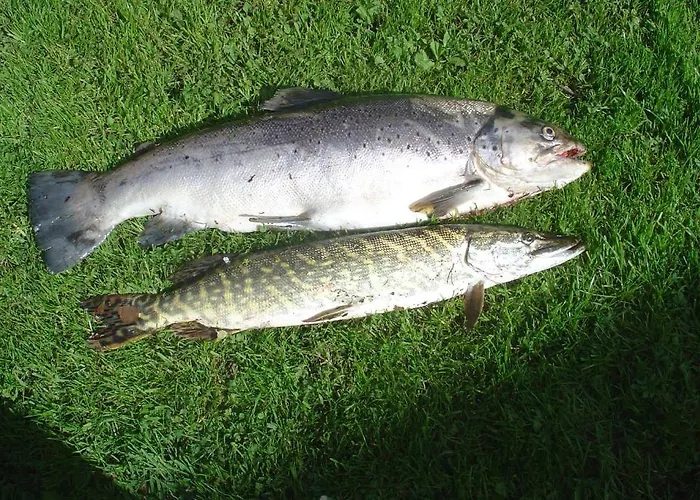 Waldpension Goschlseben 3*